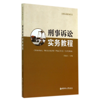 音像刑事诉讼实务教程/法律实务教程丛书周登谅