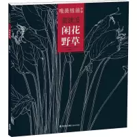 音像唯美线描精选 窦建波 闲花野草窦建波 绘