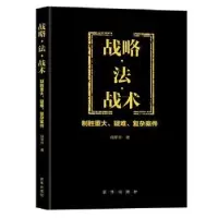 音像战略··战:制胜重大、疑难、复杂案件段军齐