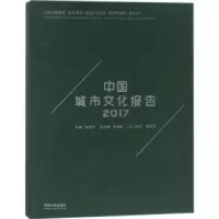 音像中国城市文化报告:2017:2017黄昌勇主编