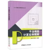 音像平法钢筋计算实例精解栾怀军,孙国皖 主编