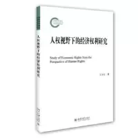 音像人权视野下的经济权利研究王方玉 著