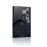 音像夜晚怀疑我流马