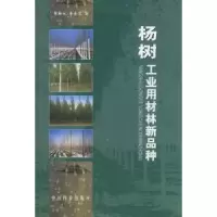 音像杨树工业用材林新品种张绮文,李金花