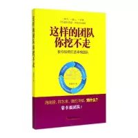 音像这样的团队你挖不走(教你如何打造幸福团队)王前师
