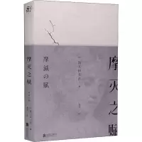 音像摩灭之赋(日)四方田犬彦
