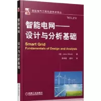 音像智能电网:设计与分析基础(美)James Momoh著