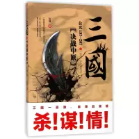 音像三国之决战中原(公元197-207)宿巍