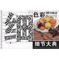 音像细节大典:色彩·细节李家友