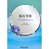 音像钻石导论曹维宇主编