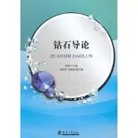 音像钻石导论曹维宇主编