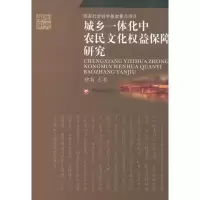 音像城乡一体化中农民文化权益保障研究徐莉