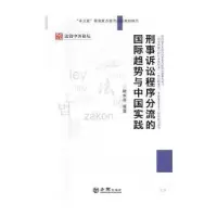 音像刑事诉讼程序分流的国际趋势与中国实践顾永忠等著