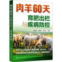 音像肉羊60天育肥出栏与疾病防控郎跃深,倪印红,何占仕