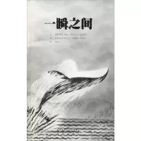 音像一瞬之间(墨)何塞·曼埃·马特奥