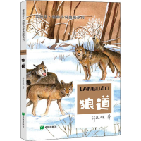 音像狼道许廷旺