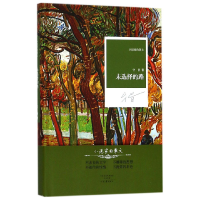 音像未选择的路(精)/小说家的散文宁肯