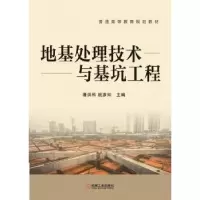音像地基处理技术与基坑工程潘洪科 著