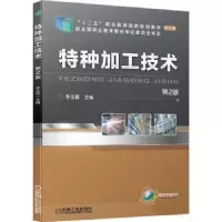 音像特种加工技术李玉青