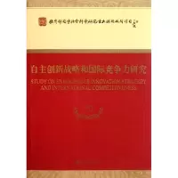 音像自主创新战略和国际竞争力吴贵