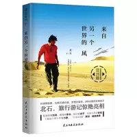 音像来自另一个世界的风北石