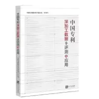 音像中国专利深加工数据的评测及应用中国专利技术开发公司