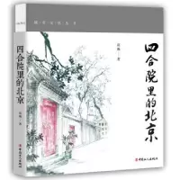 音像四合院里的北京高巍