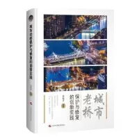 音像城市老桥保护与修复的创新实践韩振勇