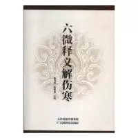 音像六微释义解伤寒董有刚,董豫濮主编