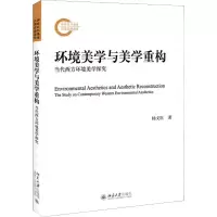 音像环境美学与美学重构 当代西方环境美学探究杨文臣