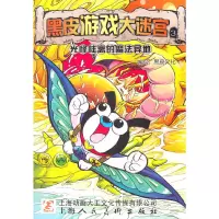 音像黑皮游戏大迷宫(3.4)黑皮文化传播有限公司 著