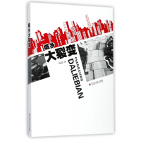 音像城乡大裂变杨豪