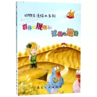 音像群体的规则和迁徙的道路/动物生活绘本系列编者:刘枫