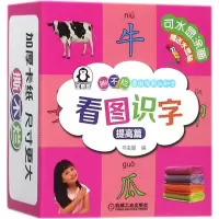 音像看图识字(提高篇)/撕不烂看图涂鸦认知卡编者:书虫屋