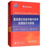 音像复杂雷达系统中数字信号处理设计与实现Vyacheslav