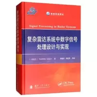 音像复杂雷达系统中数字信号处理设计与实现Vyacheslav
