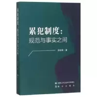 音像累犯制度:规范与事实之间劳佳琦著