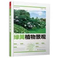 音像绿篱植物景观周厚高