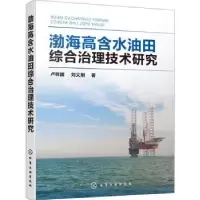 音像渤海高含水油田综合治理技术研究卢祥国,刘义刚