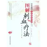 音像图解刺血疗法郭长青//费飞//周鸯鸯