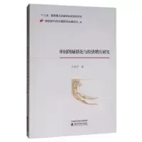 音像中国的城镇化与经济增长研究孔艳芳