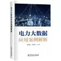 音像电力大数据应用案例解析张素香