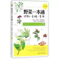 音像野菜一本通(识别采摘食用彩绘版)编者:付春琳