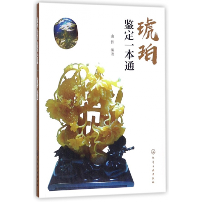 音像琥珀鉴定一本通编者:由伟