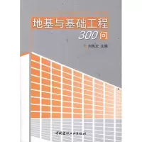 音像地基与基础工程300问刘宪文