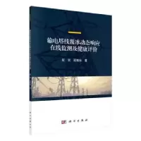 音像输电塔线覆冰动态响应在线监测及健康评价祝贺,程艳秋