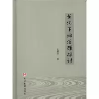 音像黄河下游治理探讨王渭
