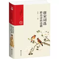 音像唐宋词选 跨出诗的边疆林明德