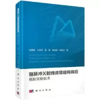 音像强脉冲X线诱导结构响应模拟实验技术毛勇建等