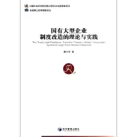 音像国有大型企业制度改造的理论与实践董仕军